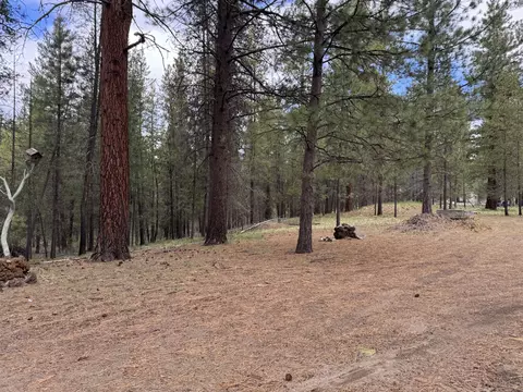 15834 Jackpine Rd, La Pine, OR 97739 photo 46