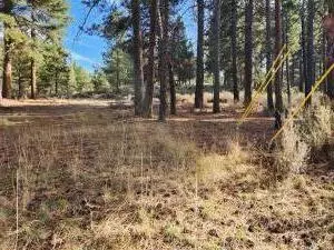 Pine Ridge Road, Chiloquin, OR 97624