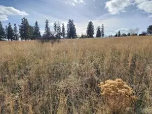 kerry drive LOT 9, Chiloquin, OR 97624