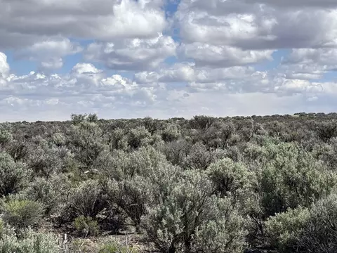 fossil lake road, Christmas Valley, OR 97641