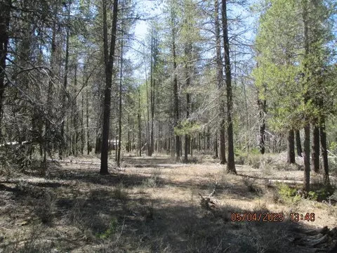 0 Cloudcap Dr #19 & 20, Chiloquin, OR 97624 photo 3