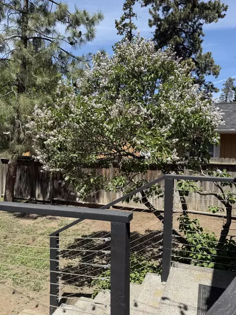 135 SE 4th St, Bend, OR 97702 photo 21