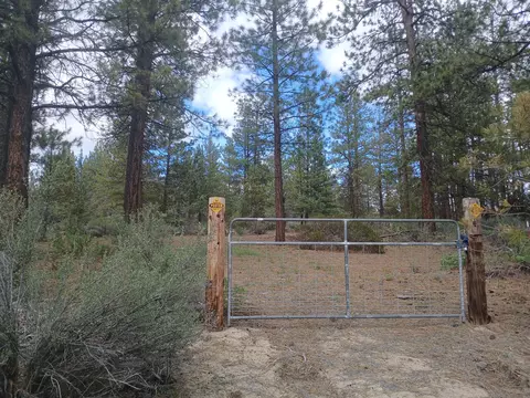 cathy way LOT S 21, Beatty, OR 97621