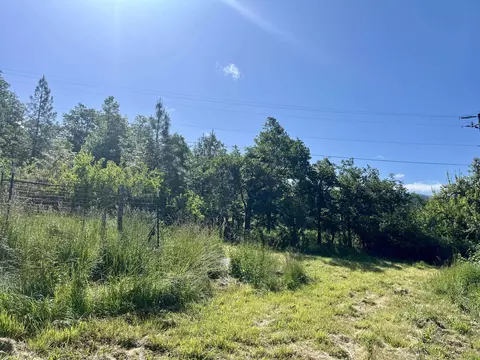 Exterior - 7255 Holland Loop Rd, Cave Junction, OR 97523 photo 9 of 10