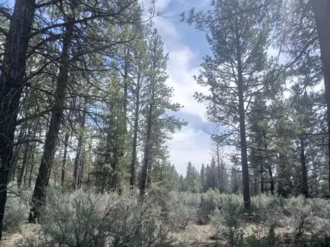 moccasin lane LOT 13, Chiloquin, OR 97624