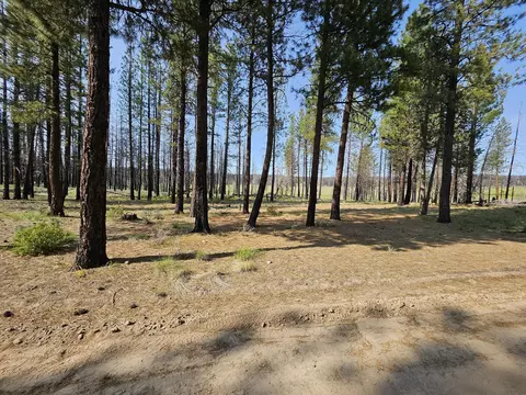 55820 Parazoo Trail #LOT 2 BLOCK 8, Bly, OR 97622