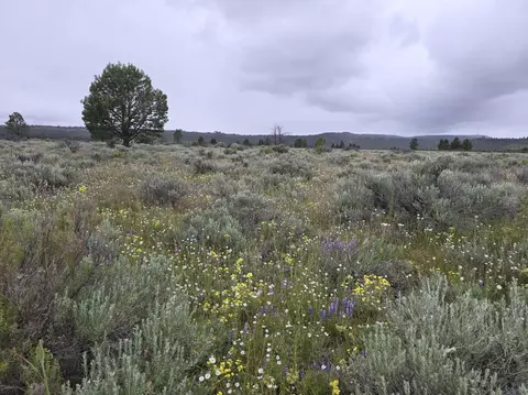 0 Tableland Rd #3800, Sprague River, OR 97639