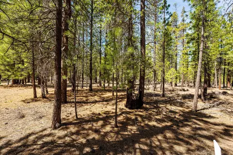 51861 Knobcone, La Pine, OR 97739 photo 5