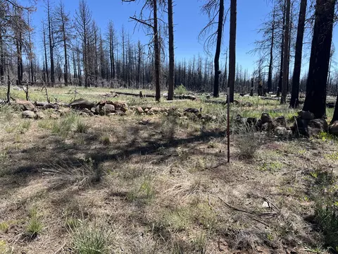0 Zebu Ln #2, Bonanza, OR 97623