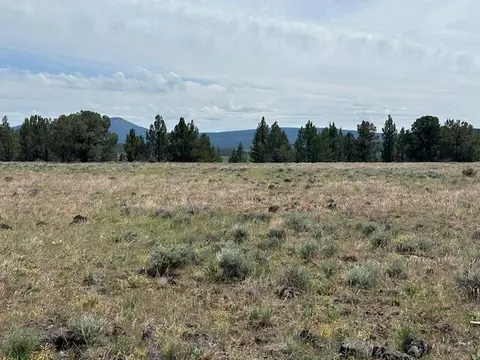 Rim Drive, Sprague River, OR 97639