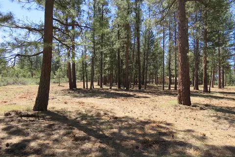 7 Castle Dr, Chiloquin, OR 97624 photo 13