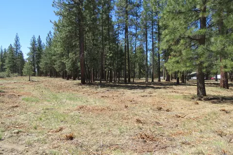 7 Castle Dr, Chiloquin, OR 97624 photo 14