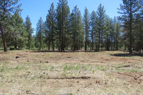 7 Castle Dr, Chiloquin, OR 97624 photo 7