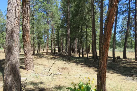 7 Castle Dr, Chiloquin, OR 97624 photo 23