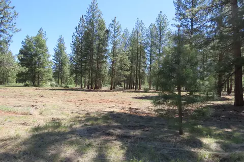 7 Castle Dr, Chiloquin, OR 97624 photo 6