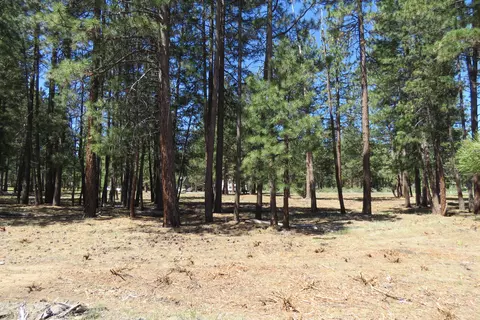 7 Castle Dr, Chiloquin, OR 97624 photo 17