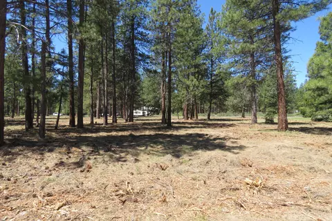 7 Castle Dr, Chiloquin, OR 97624 photo 15