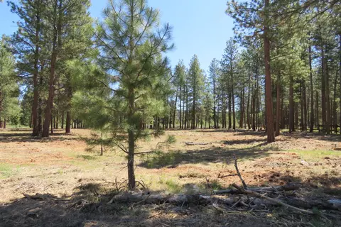 7 Castle Dr, Chiloquin, OR 97624 photo 3