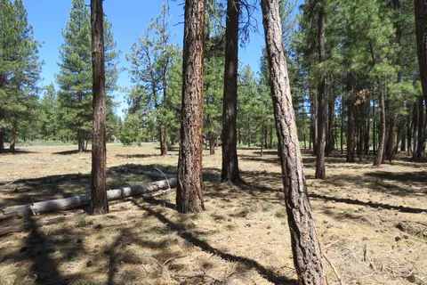 7 Castle Dr, Chiloquin, OR 97624 photo 25