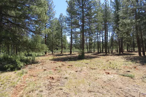7 Castle Dr, Chiloquin, OR 97624 photo 10