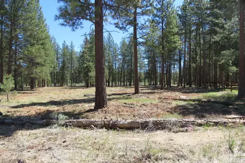 7 Castle Dr, Chiloquin, OR 97624 photo 2
