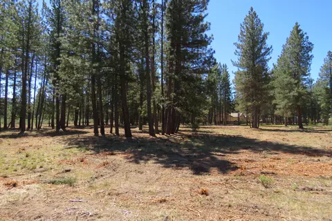7 Castle Dr, Chiloquin, OR 97624 photo 11
