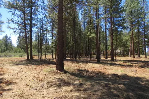 7 Castle Dr, Chiloquin, OR 97624 photo 12