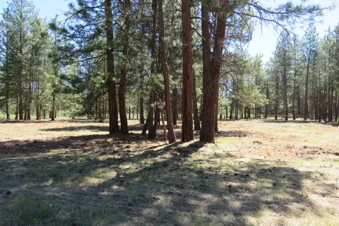 7 Castle Dr, Chiloquin, OR 97624 photo 5