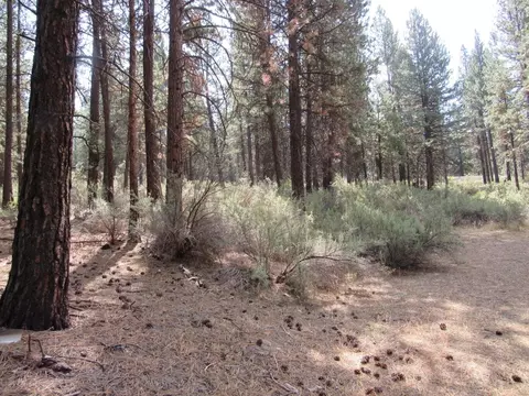 0 Pine Ridge Rd, Chiloquin, OR 97624 photo 4