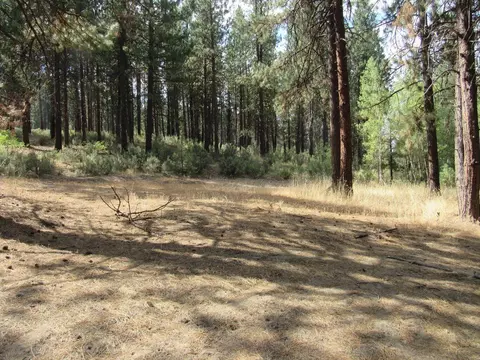 0 Pine Ridge Rd, Chiloquin, OR 97624 photo 6