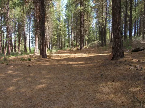 0 Pine Ridge Rd, Chiloquin, OR 97624 photo 5