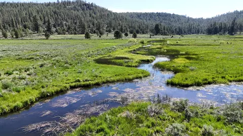 Mile Post 12 Fish Hole Creek, Bly, OR 97622