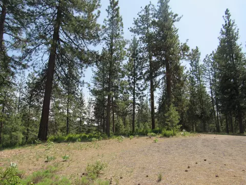 Other - 39051 Twin River Dr, Chiloquin, OR 97624 photo 6 of 7