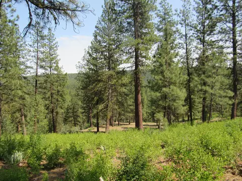 Other - 39051 Twin River Dr, Chiloquin, OR 97624 photo 7 of 7