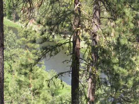 View/Area - 39051 Twin River Dr, Chiloquin, OR 97624 photo 1 of 2