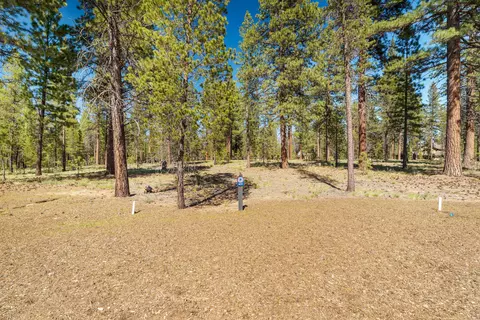 17719 Redtail Loop #477, Bend, OR 97707 photo 2