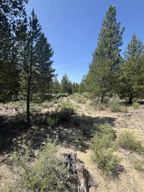 Us-97, La Pine, OR 97739 photo 6