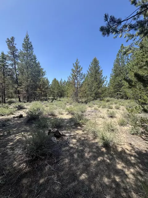 Us-97, La Pine, OR 97739 photo 5
