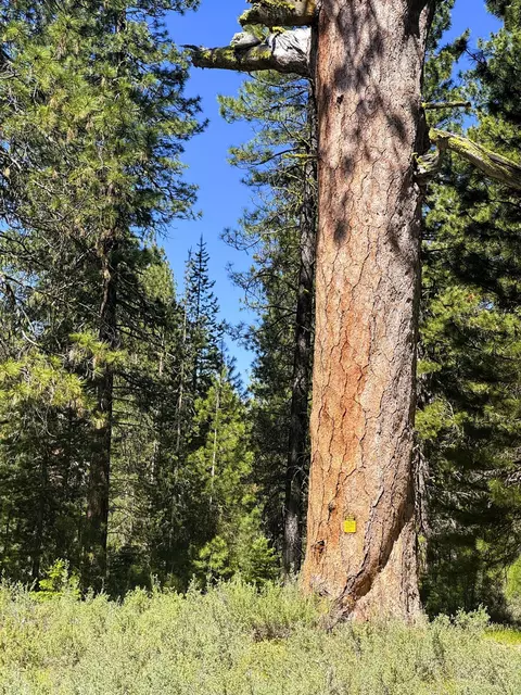 0 Hwy 62 #171717, Fort Klamath, OR 97626