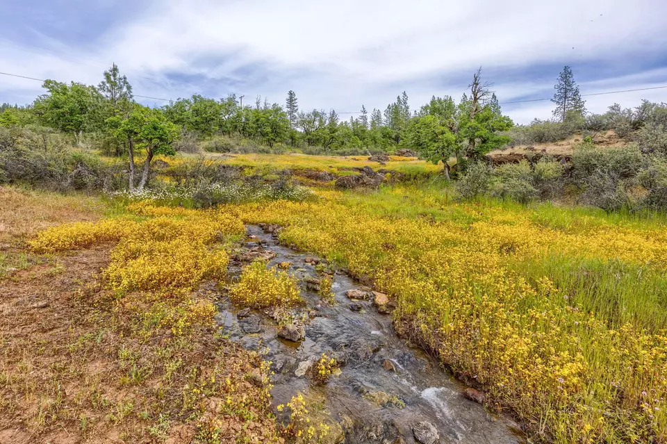 Other - 1250 Netherlands Rd, Trail, OR 97541 photo 9 of 11