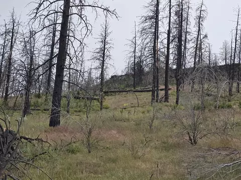 Oregon Pines Road, Sprague River, OR 97639