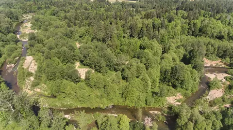 456 Garner Rd, Cave Junction, OR 97523 photo 8