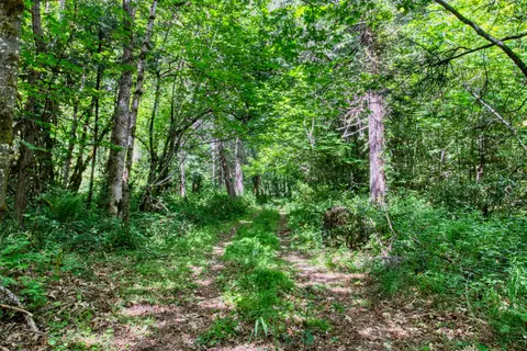 456 Garner Rd, Cave Junction, OR 97523 photo 3