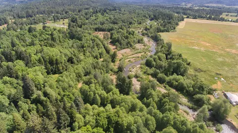 456 Garner Rd, Cave Junction, OR 97523