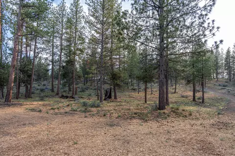 62987 Levins Ln, Bend, OR 97703 photo 6