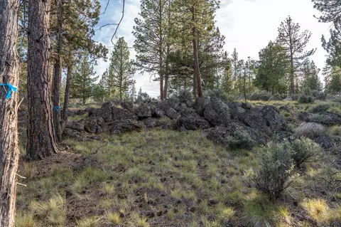 62987 Levins Ln, Bend, OR 97703 photo 16