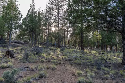 62987 Levins Ln, Bend, OR 97703 photo 18