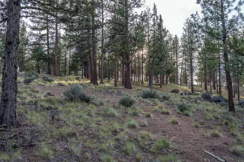 62987 Levins Ln, Bend, OR 97703 photo 20