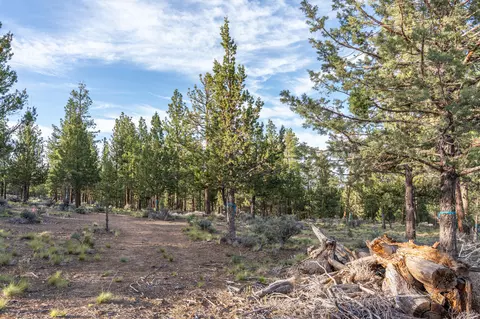 62987 Levins Ln, Bend, OR 97703 photo 12
