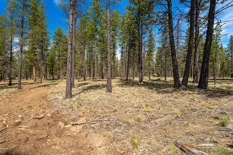 lava springs loop, Bend, OR 97707 photo 3